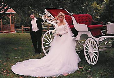 White Carriage Top Down